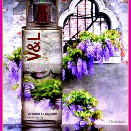 V&L para Mujer - Victorio & Lucchino