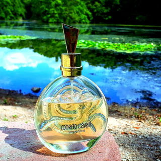 Serpentine (2005) - Roberto Cavalli