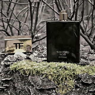 Noir Extreme (Eau de Parfum) von Tom Ford