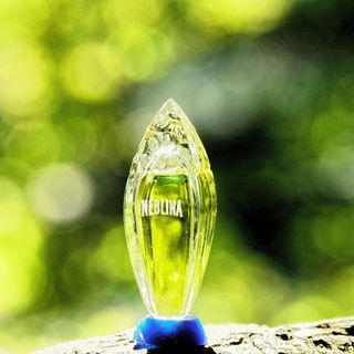 L'Esprit de Néblina - der grüne Obelisk
