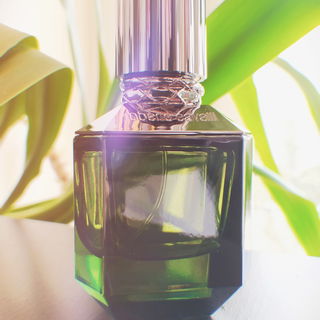 Paradise Found for Men by Roberto Cavalli