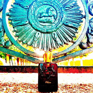 Das größte Glück der Pferde: Der Marly auf der Erde ;-)