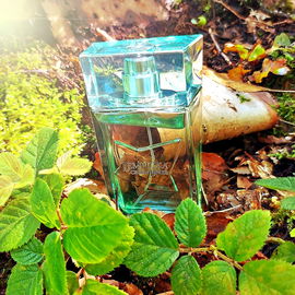 Lempicka Green Lover - Lolita Lempicka