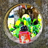 Ich freue mich sehr über all eure lieben Kommentare, vielen Dank dafür 💛🤗☀️ (by Fragilly)