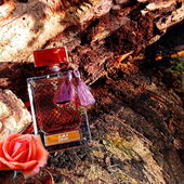 🧡 Warm und kraftvoll 🧡 Lieben Dank für Eure schönen Kommentare 🥰 (von MadameLegras)