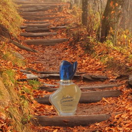 Die Idylle eines Traumduftes, platziert in der unberührten Natur auf dem Holzweg