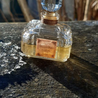 🌞💙🥰 Ein Funkelflakon im Sonnenglanz. Nur ein paar Stunden erstrahlte die Sonne an einem frostigen Wintertag und brachte Farbe in das Wintergrau. Danke für Euren Besuch bei Bellodgia im Sonnenglanz. Ein schönes Wochenende und Alles Gute. Lg Kailani 🌞💙🥰