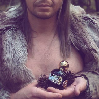 Enchanted Forest - The Vagabond Prince