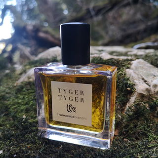 Tyger Tyger by Francesca Bianchi