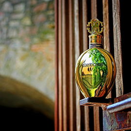 Roberto Cavalli Oud Edition - Roberto Cavalli