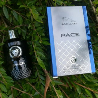 Pace by Jaguar