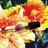 Poppige-Plüten-Pracht (by NuiWhakakore)