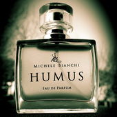 Wurzeln (von Seejungfrau)