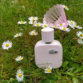 by Wildflower