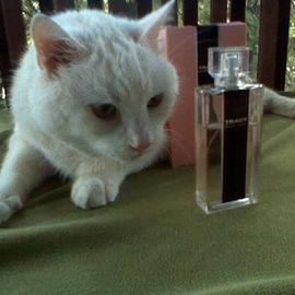 Tracy (Eau de Parfum) - Ellen Tracy