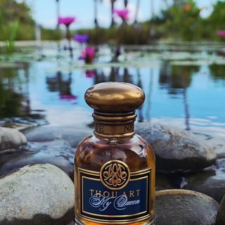 Miami North Beach, 09.11.2025