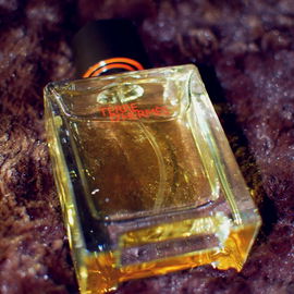 L'Homme Intense - Prada