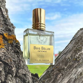 Balenciaga pour Homme (Eau de Toilette) - Balenciaga