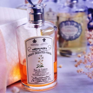 Night Scented Stock - Penhaligon's