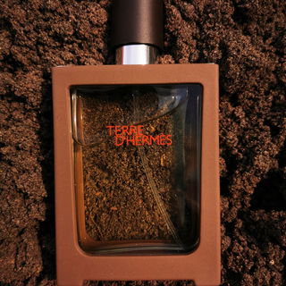 Terre d'Hermès (Eau de Toilette) by Hermès