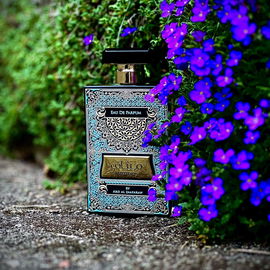 …📷🌍 Thank you. Danke schön. Merci beaucoup. Muchas gracias. Dōmo arigatō gozaimasu 💐…