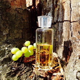 Casablanca (Eau de Parfum) - Swiss Arabian