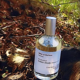 Indian Study / Santal +++ - Miller et Bertaux