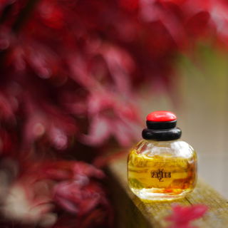 Paris (Eau de Toilette) - Yves Saint Laurent