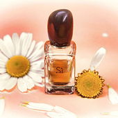 si, no, Si!!! (von Zora)