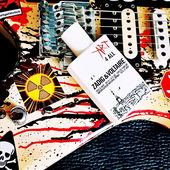 Klampfe aus den wilden Jugendzeiten... (by Fragilly)