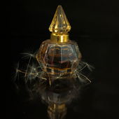 ¨*•. ✵ Sternefunkeln im Advent🕯️.•*¨✵¨*•. Euch allen ein zauberhaftes zweites Adventswochenende .•*¨✵¨*•. Tausend Dank für Euren Besuch und die lieben Kommentare .•*¨✵¨*•. ich freue mich sehr darüber ✵ .•*¨ (von Flughörnchen)