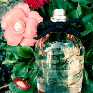 Dolce Garden von Dolce & Gabbana