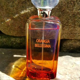 Orangia Bellissima von Delarom