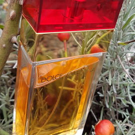 Dolce & Gabbana (1992) (Eau de Toilette) - Dolce & Gabbana