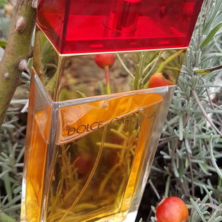 Dolce & Gabbana (1992) (Eau de Toilette) - Dolce & Gabbana