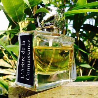 L'Arbre de la Connaissance - Jovoy