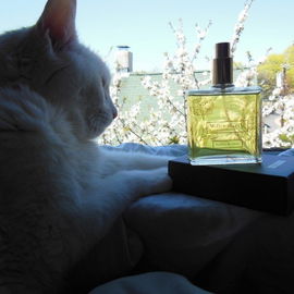 № 06 - Incense Rosé - Tauer Perfumes