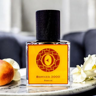 Borneo 3000 (Pure Parfum) by Ensar Oud