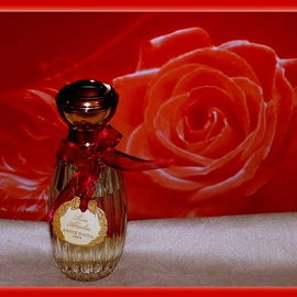 Ultimative Rose
