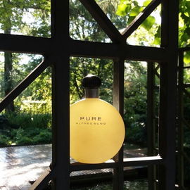 Pure - Alfred Sung
