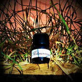 Sommergräser (von Floyd)