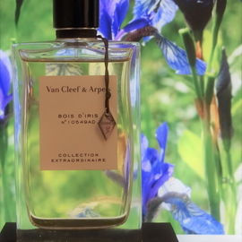 English Oak & Hazelnut - Jo Malone