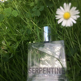 Serpentine by Comme des Garçons