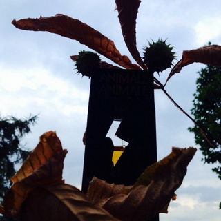 Animale Animale for Men - Animale