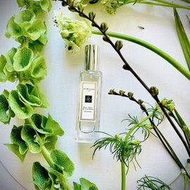 Earl Grey & Cucumber - Jo Malone