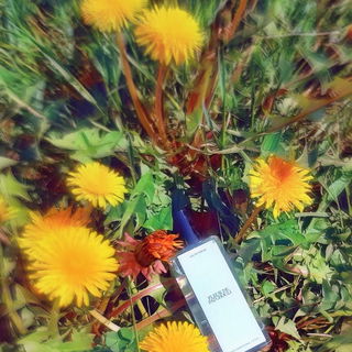 Fleur de Patchouli / N°07 Fleur de Patchouli - Zara