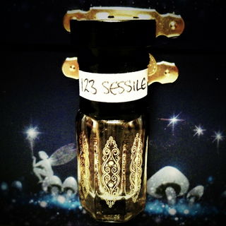 Der Wald erzählt einen Traum