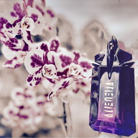 Alien Extraintense - Mugler