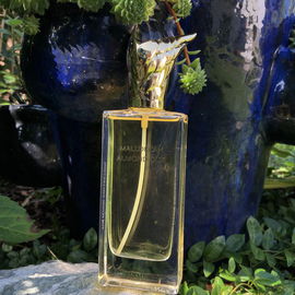 Mallorcan Almond Oud - Memo Paris