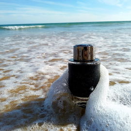 Explorer - Montblanc